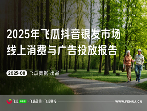 2025年银发群体线上消费与行业洞察